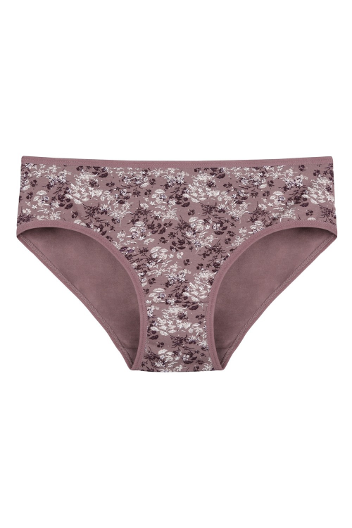 Figi Donella 318143  A'2