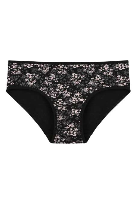 Figi Donella 318143  A'2