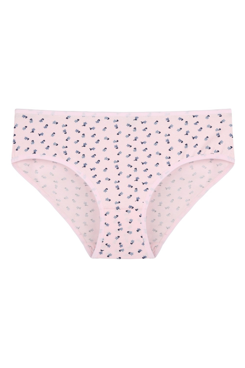 Figi Donella 318138  A'2