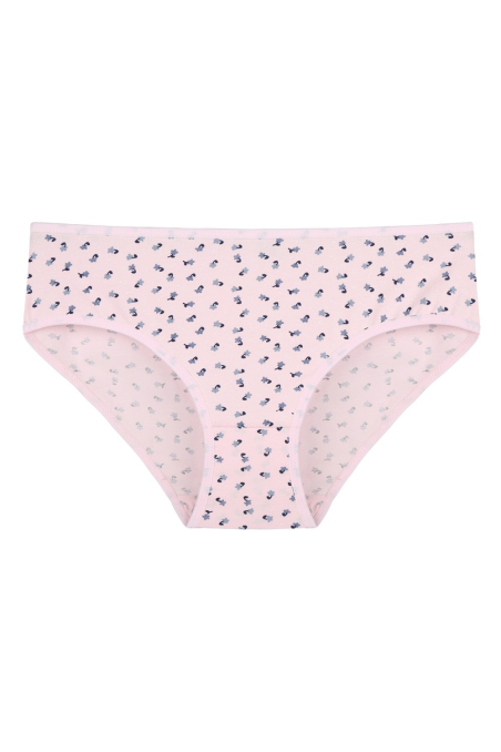 Figi Donella 318138  A'2