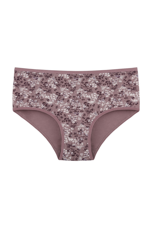 Figi Donella  258143  A'2