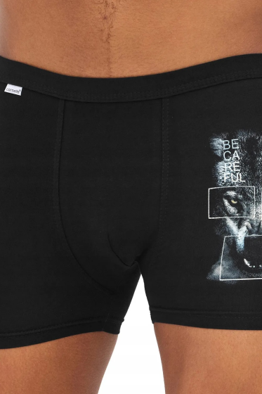 Bokserki Cornette Young Boy 700/144  Wolf 2 170-176