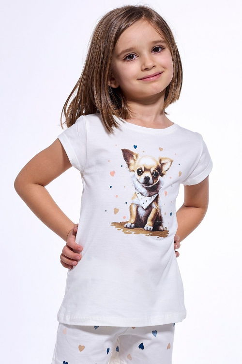 Piżama Cornette Kids Girl 787/108 Chihuahua kr/r