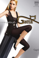 Legginsy Gatta Capri 100 den 2-4